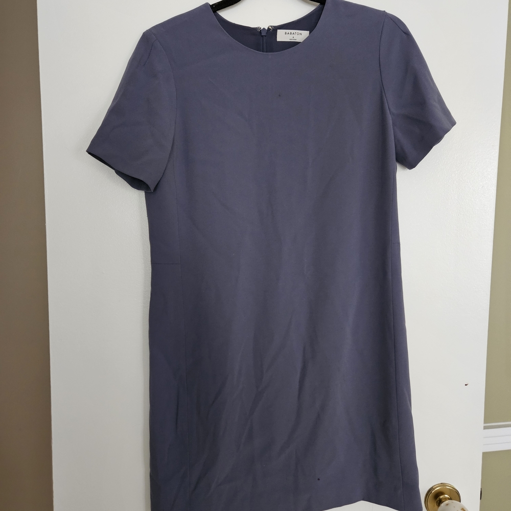 Babaton Patricio Shift Dress